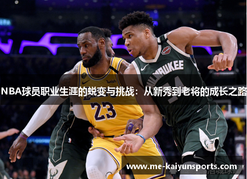 NBA球员职业生涯的蜕变与挑战:从新秀到老将的成长之路 NBA球员职业生涯的蜕变与挑战:从新秀到老将的成长之路