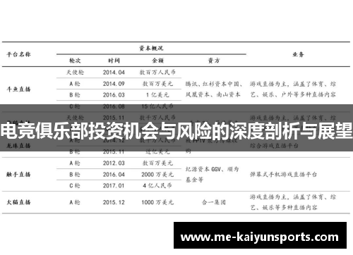 电竞俱乐部投资机会与风险的深度剖析与展望 电竞俱乐部投资机会与风险的深度剖析与展望
