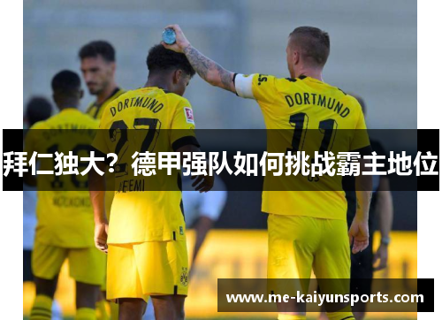 拜仁独大?德甲强队如何挑战霸主地位 拜仁独大?德甲强队如何挑战霸主地位